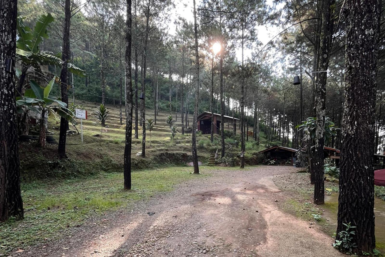 Alas Pacet By Twospaces, Mojokerto Exteriér fotografie